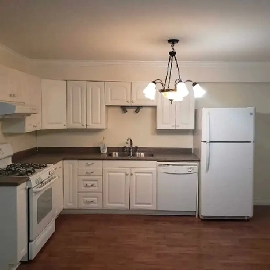Bright One Bedroom Basement -East Abbotsford Image# 3