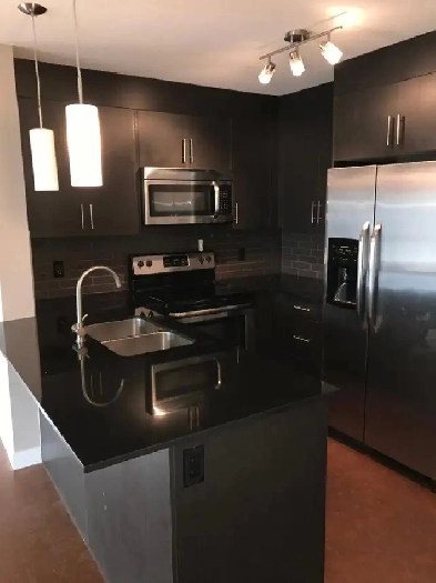 Top floor 2 bedroom 2 bathroom Skyview condo for rent Image# 3