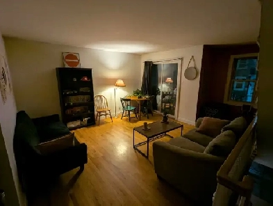 Single Room in 4 Bedroom Apartment Image# 7