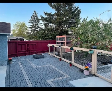 Newly renovated basement for rent (Couples preferred) Image# 2