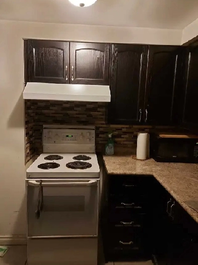 Basement room for rent in Markham Image# 3