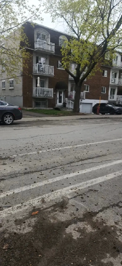 chambre a louer tout inclus 1er juillet Image# 1