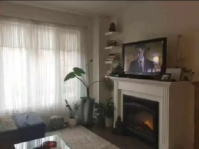 MODERN TOWNHOUSE NEAR SUBWAY AND BEACHES FOR RENT Image# 7