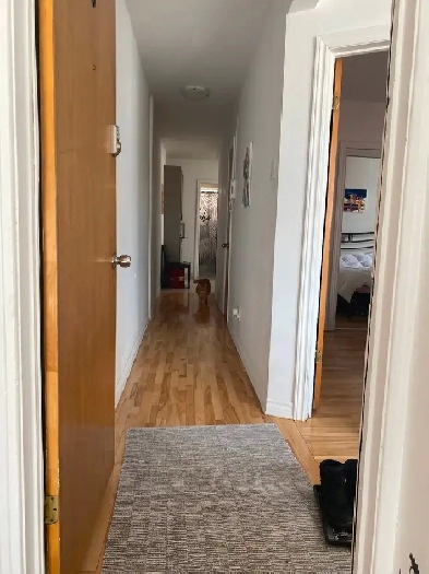 Charmant 3 1/2. Mtl Mercier. Image# 1