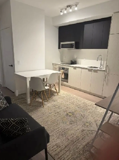 New Furnished Room in Executive Condo in Toronto’s Downtown Image# 6