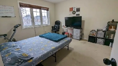 Room for rent in Castelmore, Brampton Image# 1
