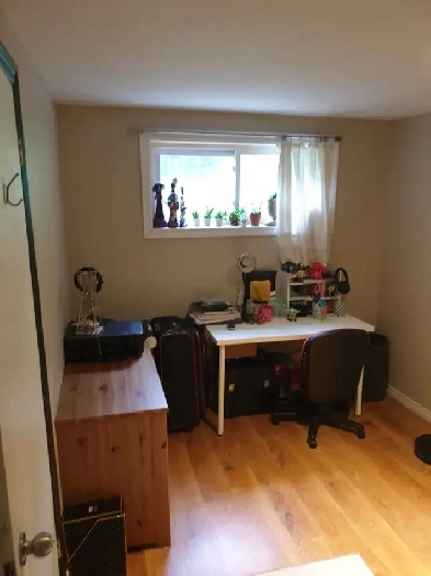 DonMills/Mcnicolle May 1st 2rooms for rent femaleSeneca student Image# 9