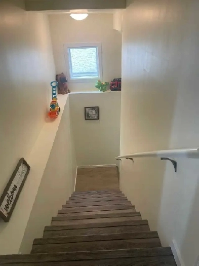 Basement for Rent Image# 6