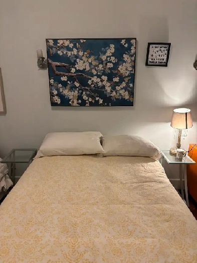 Spacious Room w Private Bathroom in Fully Furnished 5.5 Apt. Image# 1