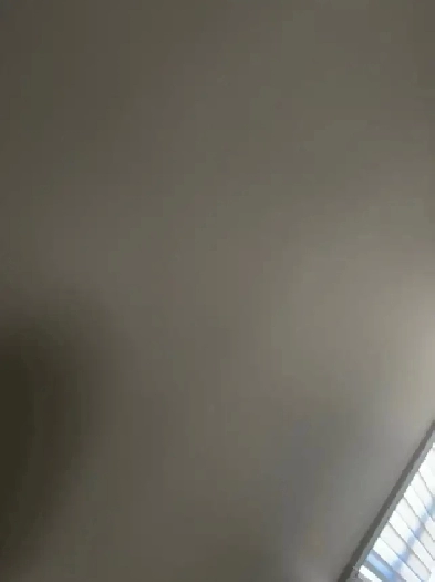 in Waterloo room or basement for rent Image# 1