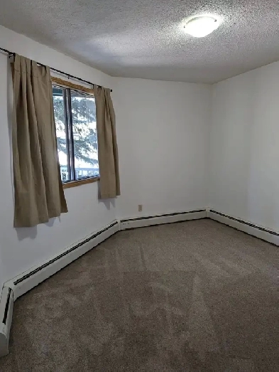 Apartment For Rent Millwoods Image# 3