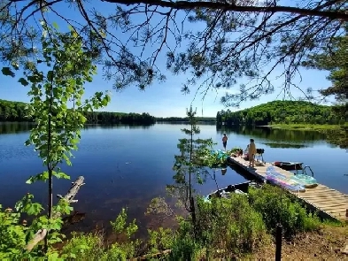 6 COTTAGE FOR SALE.BLACK LAKE .HALIBURTON 1000FT WATERFRONT 7 AC Image# 1