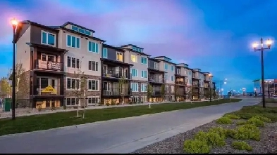 Room for rent in a 2bed 1bath Image# 3