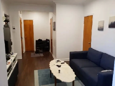 Jolie 4 demi 500m metro parc, UDM campus MIL HEC, parc Jarry Image# 1