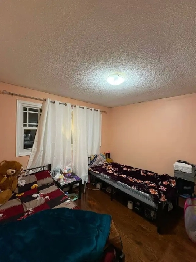 4 Bedrooms 3 Bathroom House | 1 Room Available! Image# 2