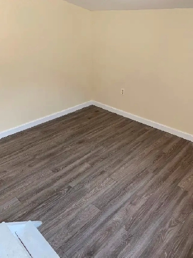 Room Rental in an Apartment Downtown (Open Now) - Pet Friendly Image# 1