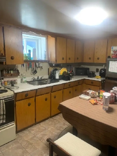 Basement Apartment For Rent Image# 2