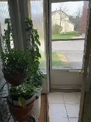 Fully Furnished Private Room for Rent with Separate Washroom Image# 9