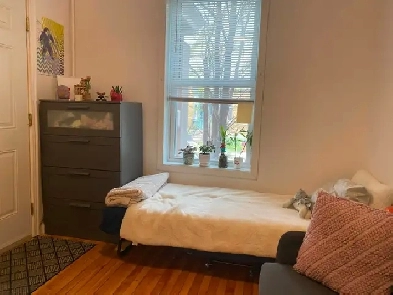 Studio apartment $1000 Image# 3