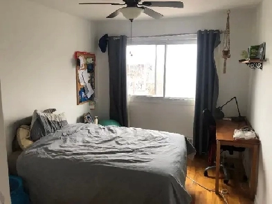 Appartement 3 1/2  à louer dans Rosemont pour juin 2025 Image# 4