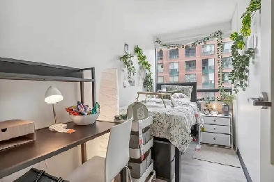 1 Bedroom in a 2 Bedroom 1 Bathroom Penthouse Suite Image# 5