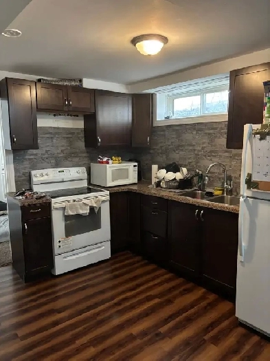 Basement for rent (Martindale area) Image# 8