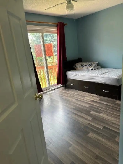 Room for rent $950 monthly Image# 1