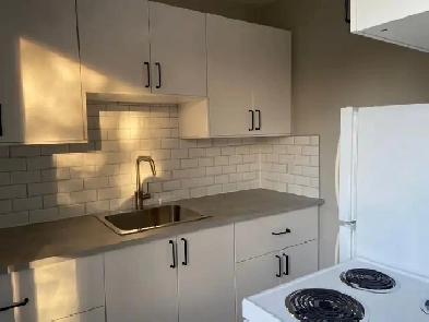 ONE BEDROOM APARTMENT AVAILABLE, PRIME LOCATION, PERFECT PRICE Image# 6