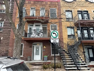 appartement à louer montreal centre-ville  trois et demi 3 1/2 Image# 1