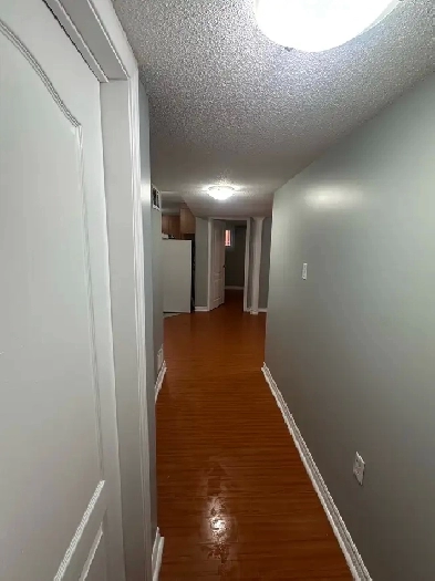 1 bedroom walk out basement for rent Image# 1