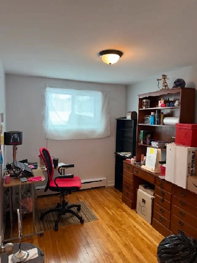 Anjou beau grand 4 1/2 situé au demi sous-sol Image# 1