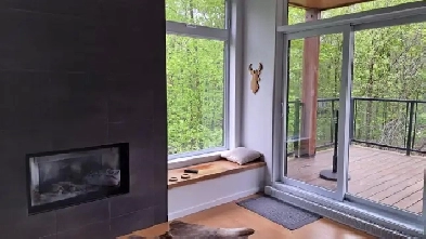 Condo de prestige à louer Image# 4