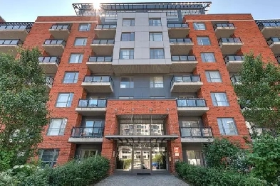 condos for rent Image# 9