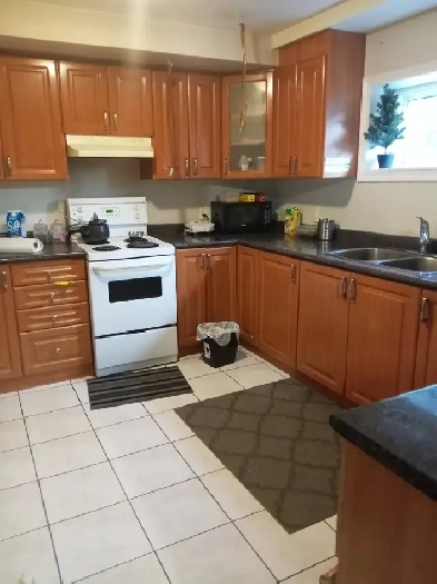 WALKOUT BASEMENT FOR RENT IN BRAMPTON FROM JUNE 1 Image# 1