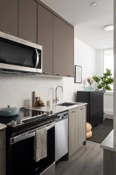 Newly Renovated Studio Suite in Liberty Village Image# 9