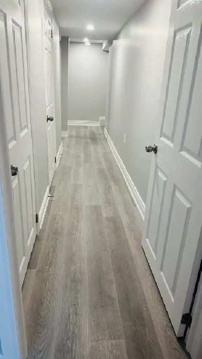 1 Bed Basement for Rent Image# 1