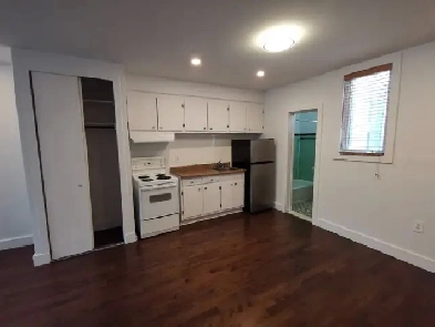 Fully renovated 2 ½ apartment for rent in Villeray Appartement Image# 18