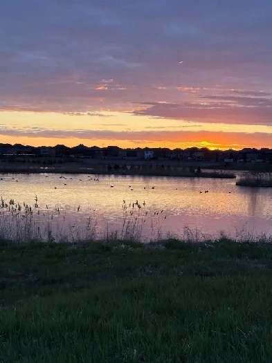 Home For Sale Image# 1