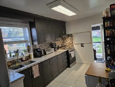 3 Bedrooms House  Main Fl Rent, Birchmount/St. Clair/Danforth Image# 1