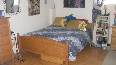 Single bdrm in 2 bdrm basement apartment York University Image# 1