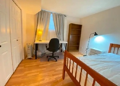 Bright and Quiet basement for Rent Image# 4