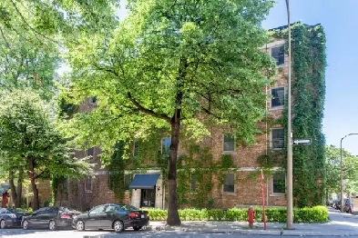 Cozy Studio available for September - ID 1724 Image# 3