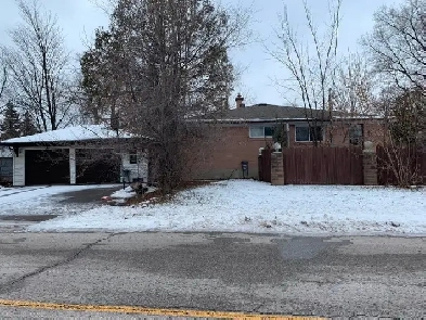 3 bedroom house to rent in Richmond Hill Image# 1