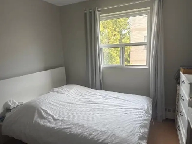 roommate Image# 1