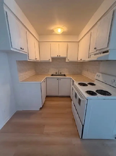1 bedroom apartment available now in NDG Image# 8