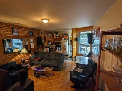 Plateau MT-ROYAL libre 1ier juin - Chambre à louer Image# 1