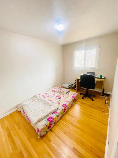 Perfect Room for Students and Young Professionals in Banff Tr Image# 1