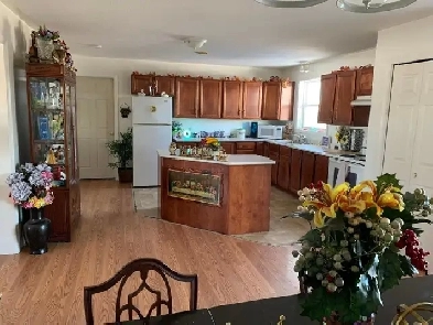 Large Beautiful Apartment Image# 1