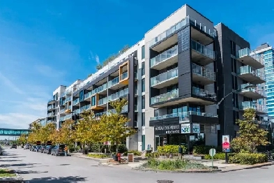 Condo à louer Île-des-sœurs vue Fleuve Saint-Laurent Image# 5