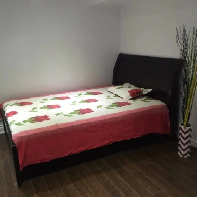 A room for rent in Markham Rd/Kingston Rd- June 1 Image# 2